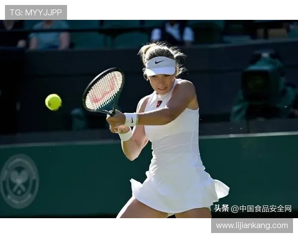 网球赛季回顾:新星崛起与老将争夺,谁将称霸2025年大满贯赛场 网球赛季回顾:新星崛起与老将争夺,谁将称霸2025年大满贯赛场